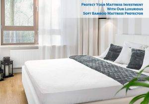 PlushDeluxe Premium Bamboo Mattress Protector - Best Rated water resistant Mattress Protector