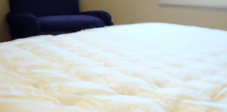 does a mattress protector prevent dust mites