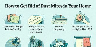 how do you get rid of dust mites in your mattress 1