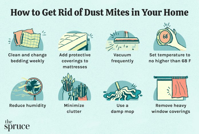 how do you get rid of dust mites in your mattress 1